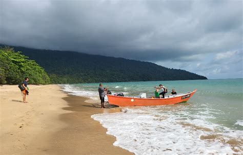 Sarawak Rainforest Wildlife & Beaches | Paradesa Borneo