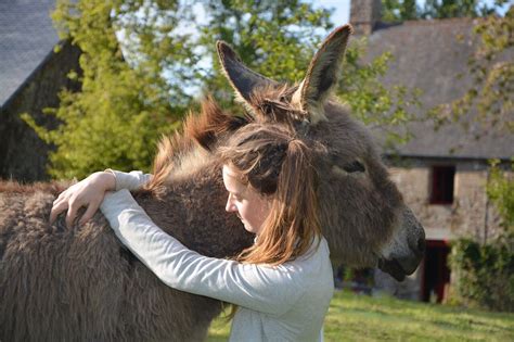 How To Get A Job On A Farm With No Experience? — Farm & Animals