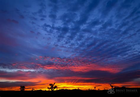 Sunrise and Sunset Photography - Brent Bremer Photography