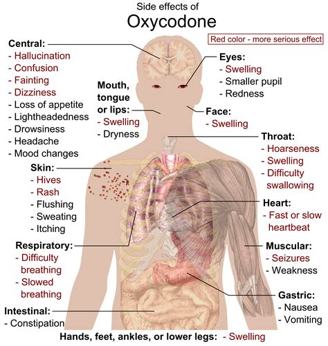 File:Side effects of Oxycodone.png - Wikipedia, the free encyclopedia