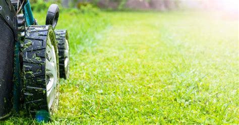 Is It OK To Mow Wet Grass? | Electric Mower Report