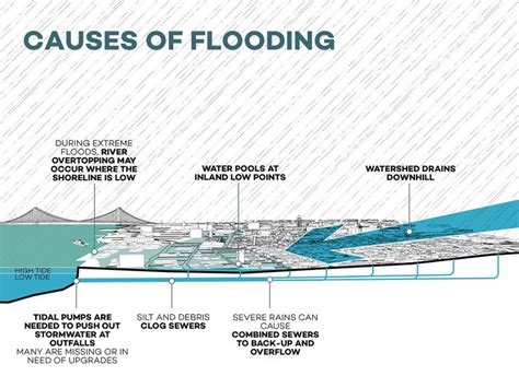 Causes of flooding | Flood causes, Landscape diagram, Flood map