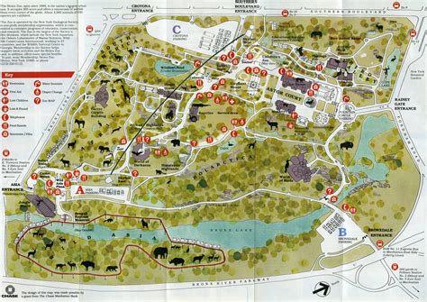 Printable Bronx Zoo Map