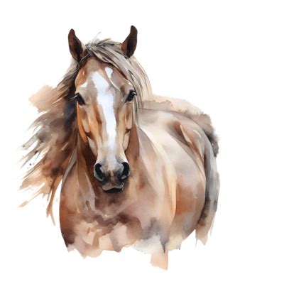 Watercolor Horse PNGs for Free Download