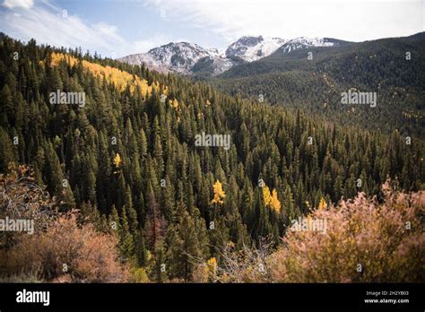 Fall foliage near Aspen, Colorado Stock Photo - Alamy