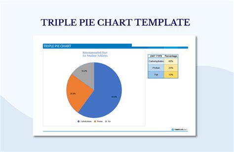 TRIPLE PIE CHART in Excel, Google Sheets - Download | Template.net