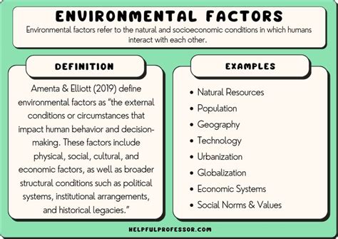 15 Environmental Factors Examples