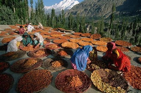 Hunza - The Truth, Myths, and Lies About the Health and Diet of the "Long-Lived" People of Hunza ...