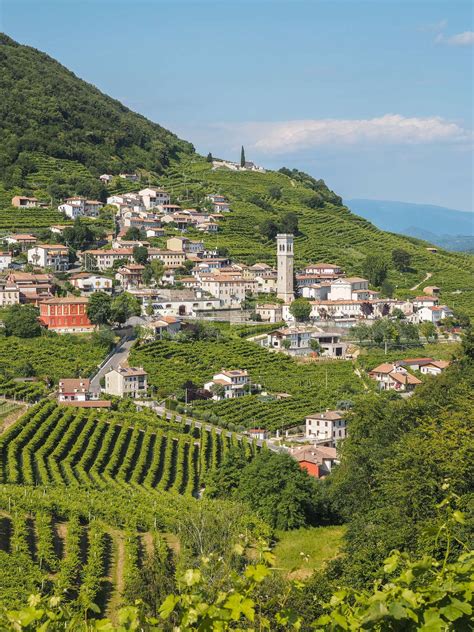 Valdobbiadene town and Prosecco vineyards in Veneto | Stock image | Colourbox