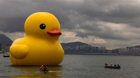 Giant rubber ducks make return splash to Hong Kong after 10 years | ITV News