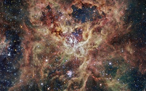 The Tarantula Nebula Space Wallpaper | Space