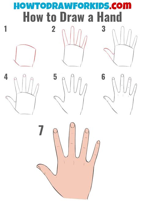 Drawing A Hand Tutorial