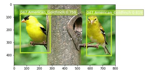 Identifying bird species on the edge using the Amazon SageMaker built-in Object Detection ...