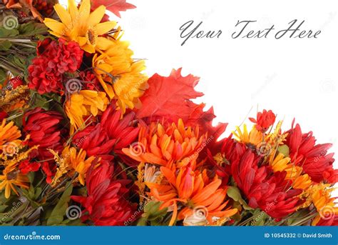 Autumn flowers border stock photo. Image of floral, leaves - 10545332