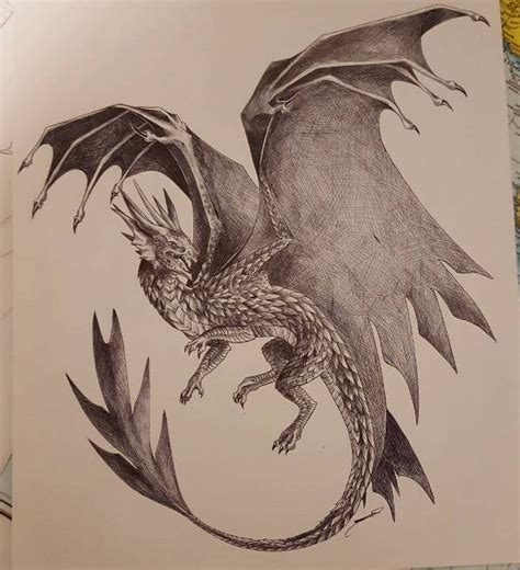 Dragon Claw Drawing at GetDrawings | Free download