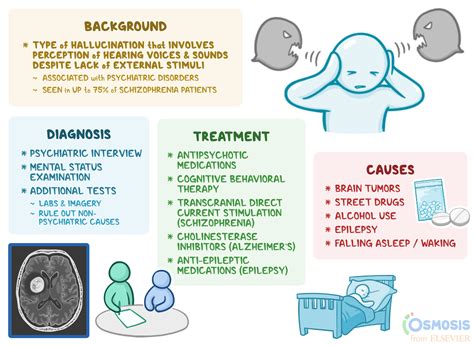 Auditory Hallucinations: What Are They, Causes, and More | Osmosis