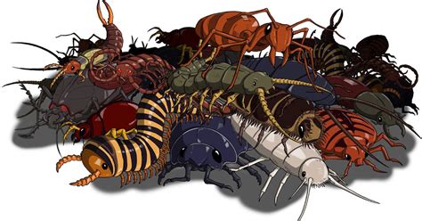 D&D Basic Monsters: Swarm of Insects