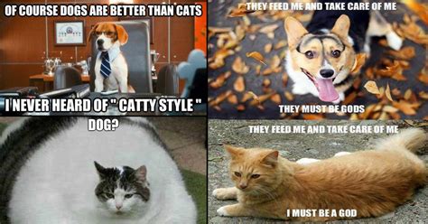 20 Memes About The Hilarious Differences Between Cats And Dogs