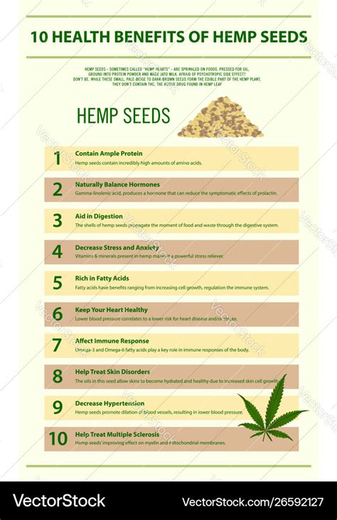 10 health benefits hemp seeds infographic Vector Image