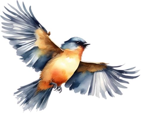 Watercolor Bird PNGs for Free Download