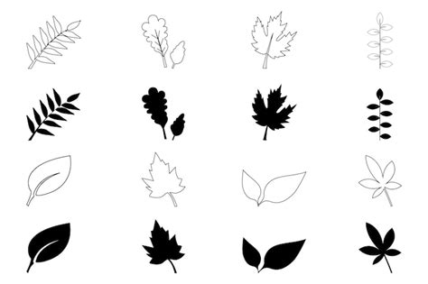 Premium Vector | Autumn leaf outline vector isolated on white background