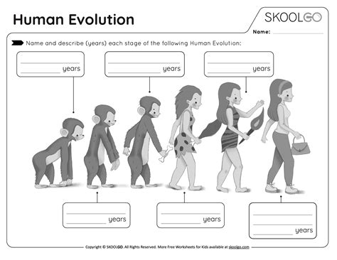 Human Evolution - Free Worksheet - SKOOLGO