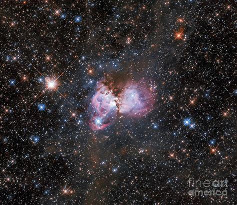 Tarantula Nebula Photograph by Esa/hubble, Nasa, I. Stephens/science Photo Library - Fine Art ...