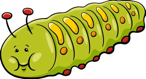 Cartoon Caterpillar Character PNG Transparent Images Free Download | Vector Files | Pngtree