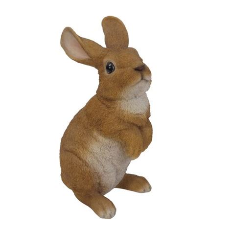 Hi-Line Gift Ltd. Standing Rabbit Statue & Reviews | Wayfair