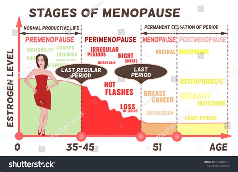 Stages Symptoms Menopause Estrogen Level Average Stock Vector (Royalty Free) 1074905561