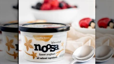 DiscoverNet | Yogurt Brands Ranked From Worst To Best