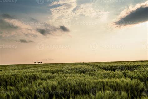 Prairie landscape photo 14552701 Stock Photo at Vecteezy