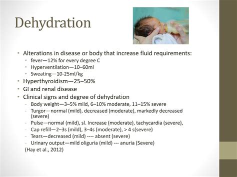 PPT - Fluid Needs and Dehydration in Children PowerPoint Presentation, free download - ID:1282136