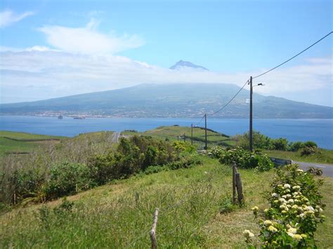 Jungle Jim: Beautiful Horta, Azores