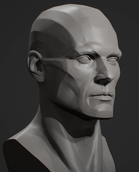 ArtStation - Head Planes Male, Viktor Germogenov Facial Anatomy, Head Anatomy, Human Anatomy ...