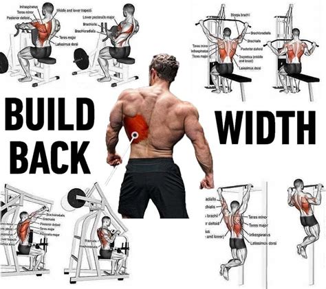 Exercises For Back Muscles