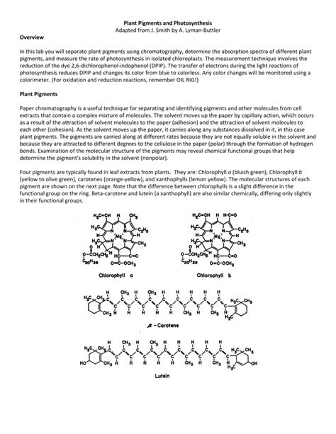 Plant Pigments and Photosynthesis - IB-Biology