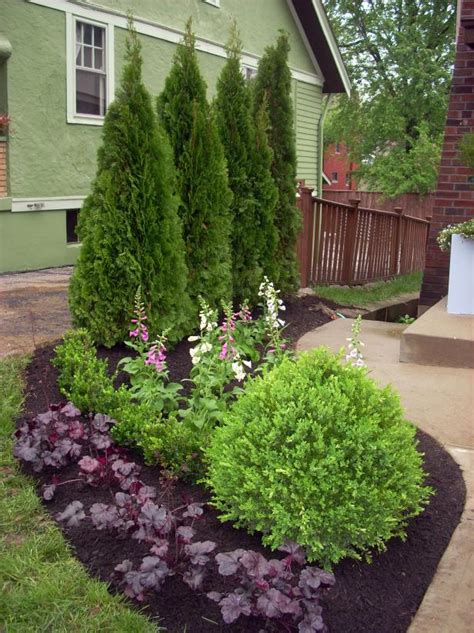 Landscaping Plants | HGTV