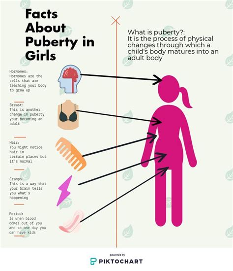 Puberty Facts What Is Puberty, Period Kit, Period Hacks, Parenting Teens, Female Reproductive ...