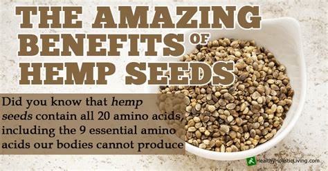 Amazing health benefits of Hemp Seeds you Didn't Know About