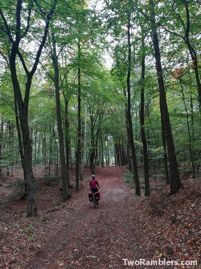 cycling next to Scharmützelsee