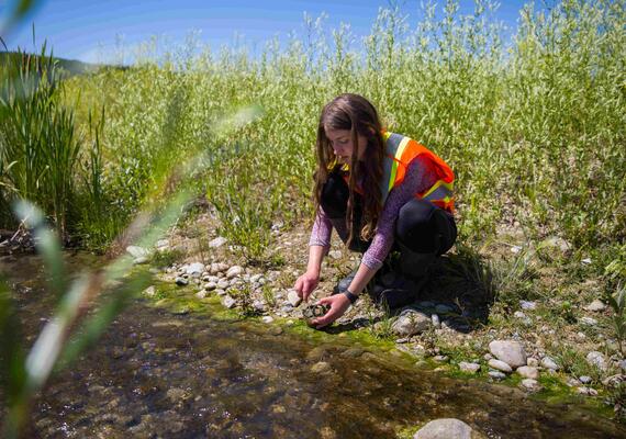 ACWA team member at the experimental stream