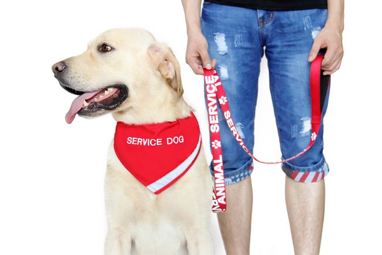 Service Dog Bandana