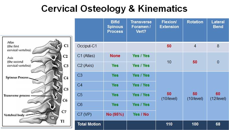 Atlantoaxial Joint Subluxation