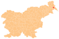 Turnišče municipality