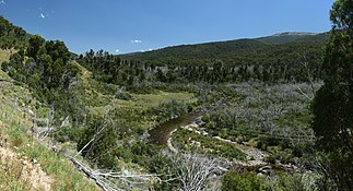 Thredbo River