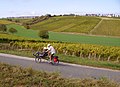 En tandem devant le vignoble de Sancerre