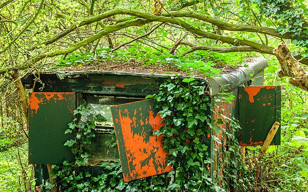 Upper part and roof of a dilapidated construction shed on the De Faberhorst nature reserve, half hidden in the greenery.