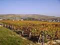 Le cirque de Bué et le vignoble de Sancerre