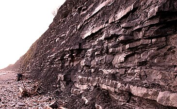 Blue Lias formations at Lyme Regis, Dorset